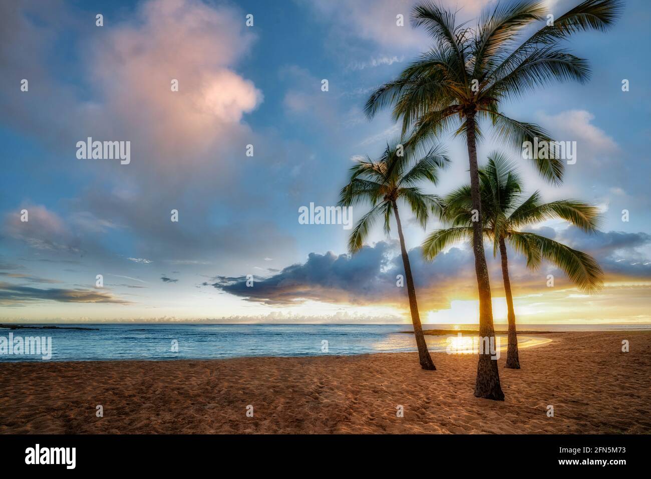 Palmen am Strand im Salt Pond Beach Park, Kauai, Hawaii Stockfoto