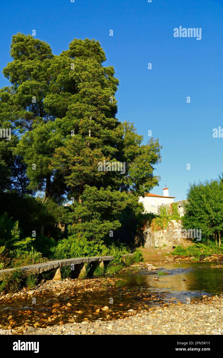 Alte Steinbrücke über den Fluss Ancora in Porto Covo, in der Nähe von Vila Praia de Ancora, Provinz Minho, Nordportugal Stockfoto