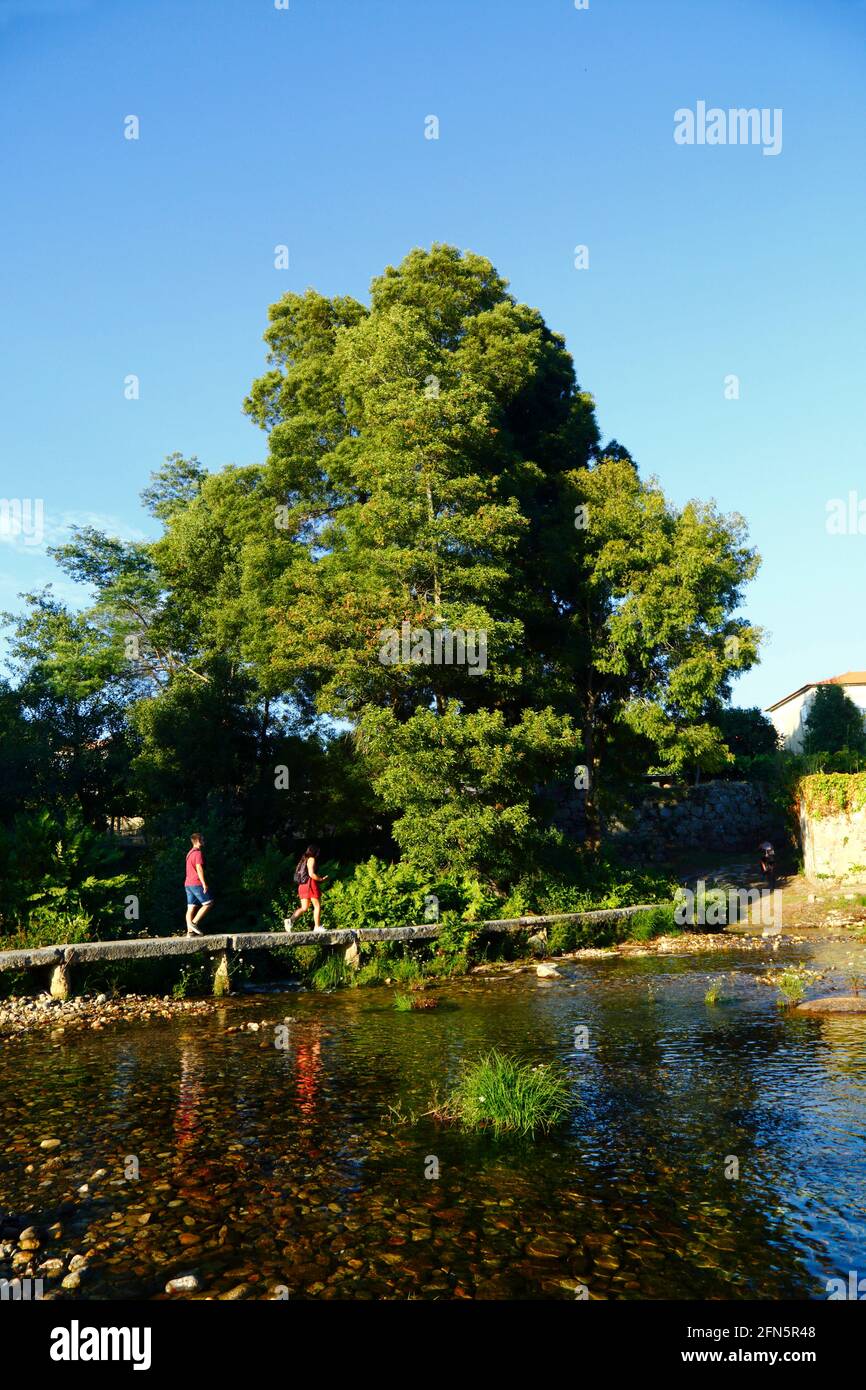 Menschen, die über eine alte Steinbrücke über den Fluss Ancora in Porto Covo, in der Nähe von Vila Praia de Ancora, Provinz Minho, Nordportugal, wandern Stockfoto