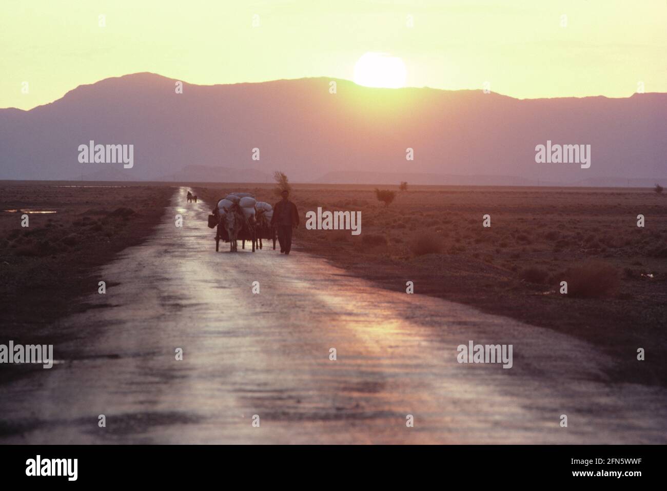 China. Region Sinkiang. Landschaft. Landstraße bei Sonnenaufgang. Stockfoto