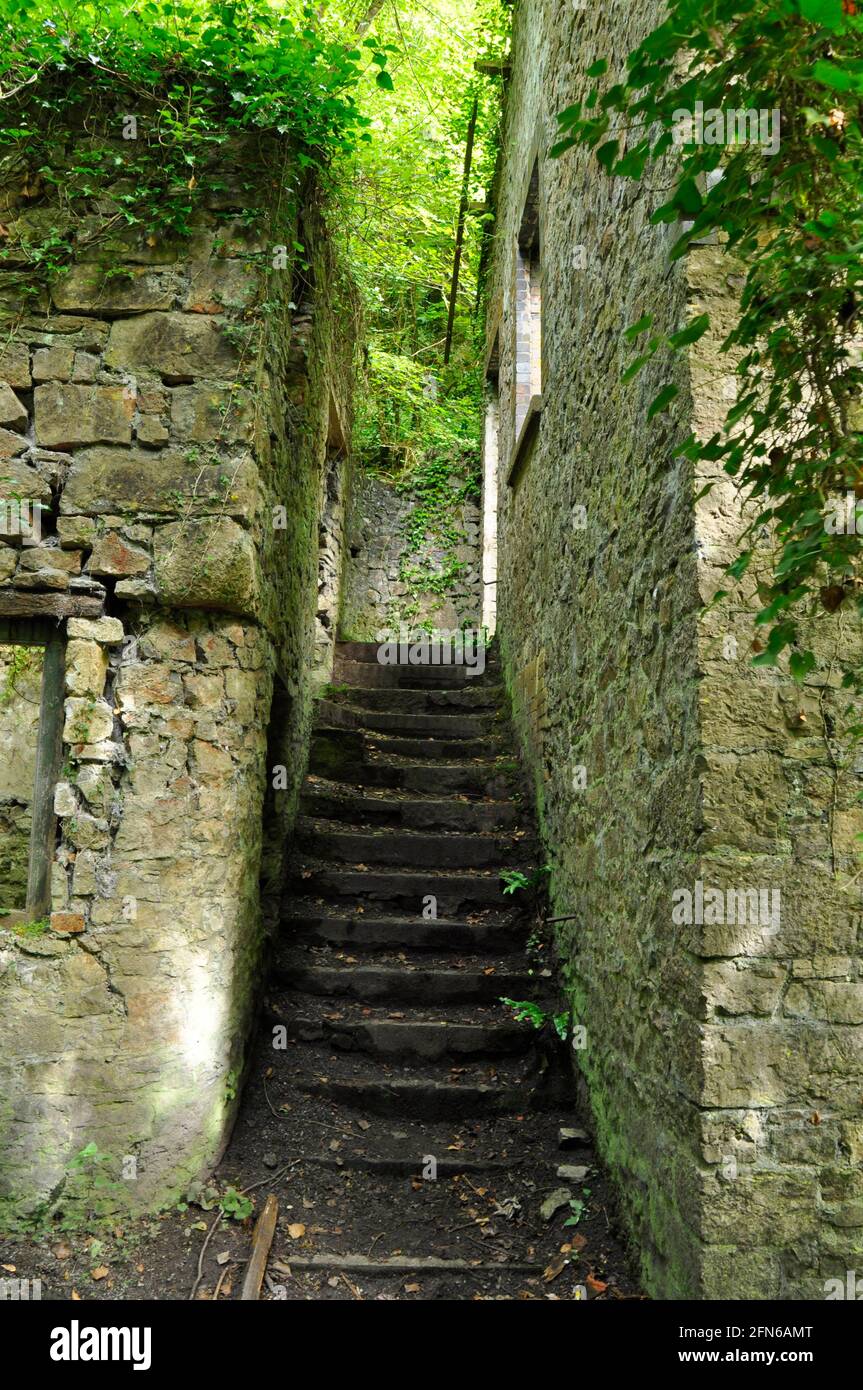 Steintreppe bei den Old Iron Works, Mells , Fussells' Lower Works.Dies ist eine biologische Stätte von besonderem wissenschaftlichen Interesse, im Wadbury Valley A Stockfoto