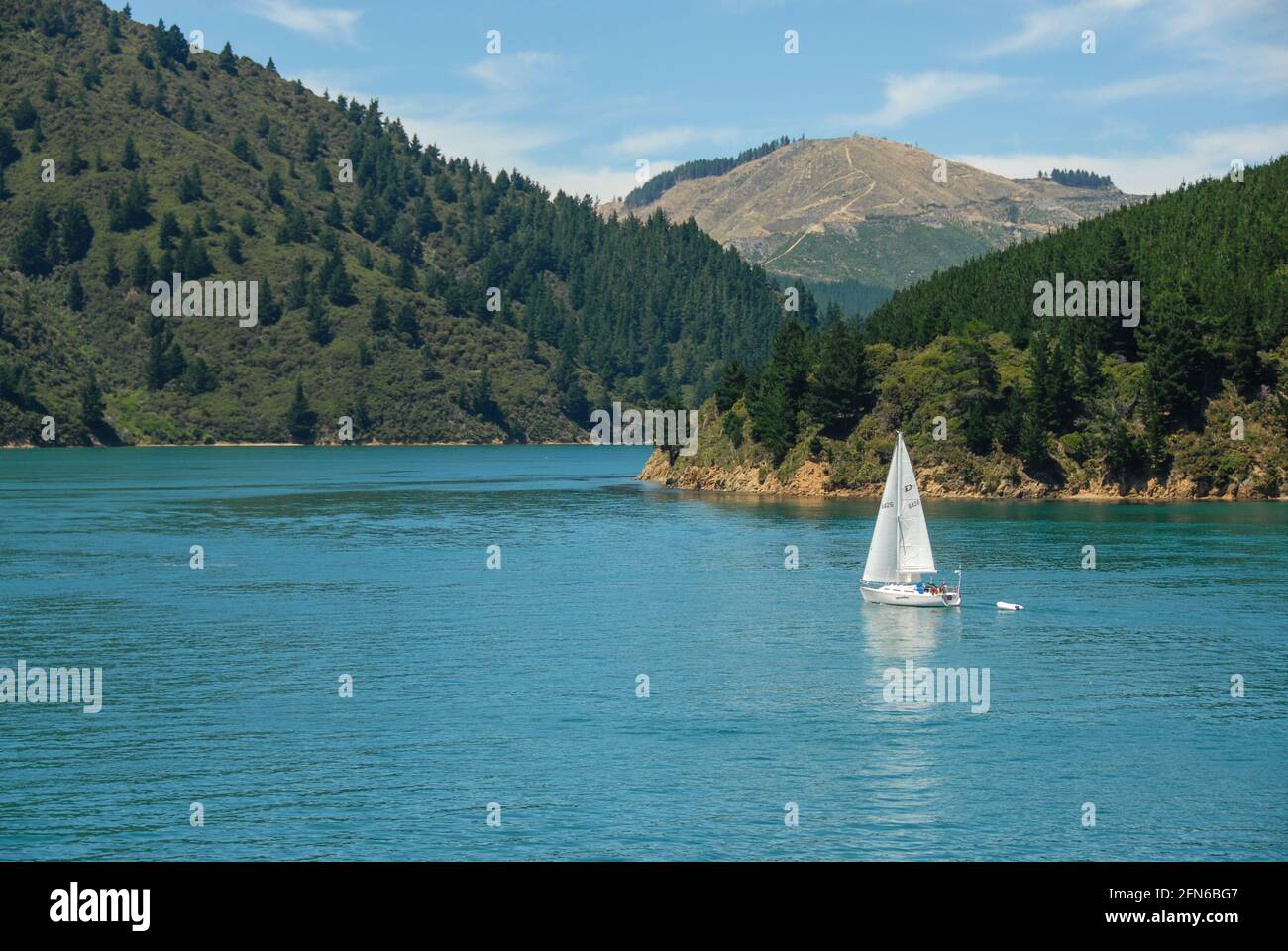 Ein Segelboot fährt langsam durch den Marlborough Sound. Stockfoto