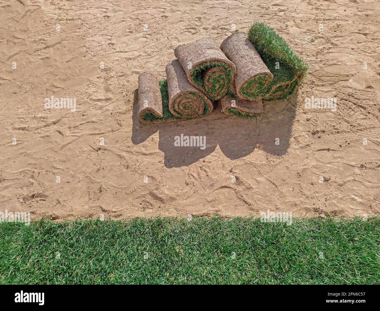 Rasen Gras Rollen oder Sod auf einem Sandboden liegen, Nahaufnahme Stockfoto