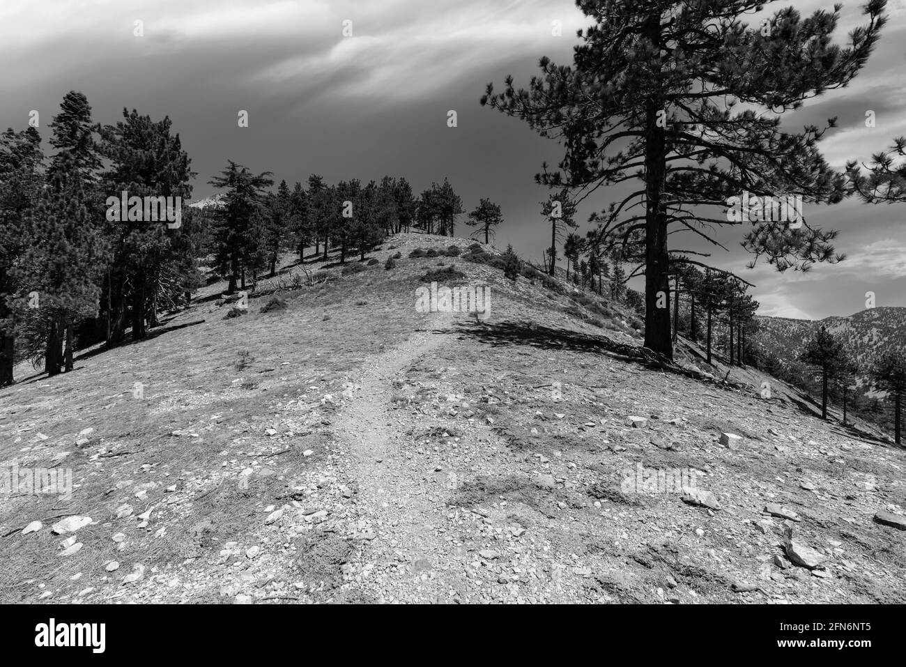 Schwarz-Weiß-Ansicht der Sturmwolken über dem Mt Baldy Trail in den San Gabriel Mountains im Los Angeles County, Kalifornien, USA. Stockfoto