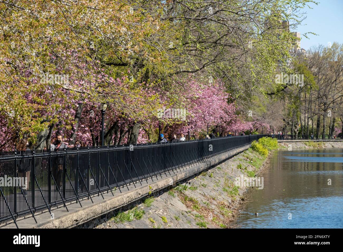 Das Reservoir, Jogging-Pfad, Central Park, New York, USA Stockfoto