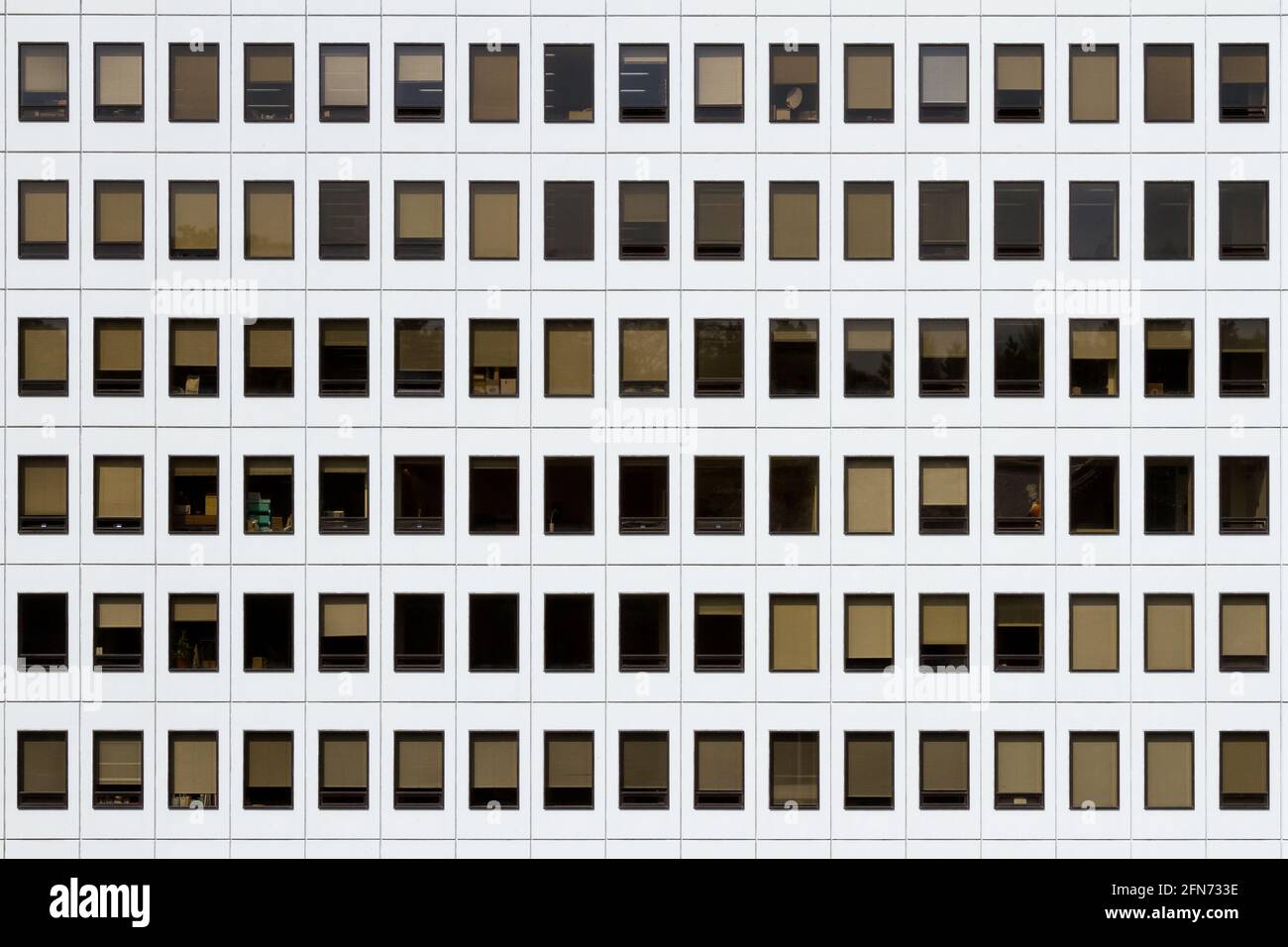 Fenster in einem Bürogebäude in Tokio, Japan. Stockfoto