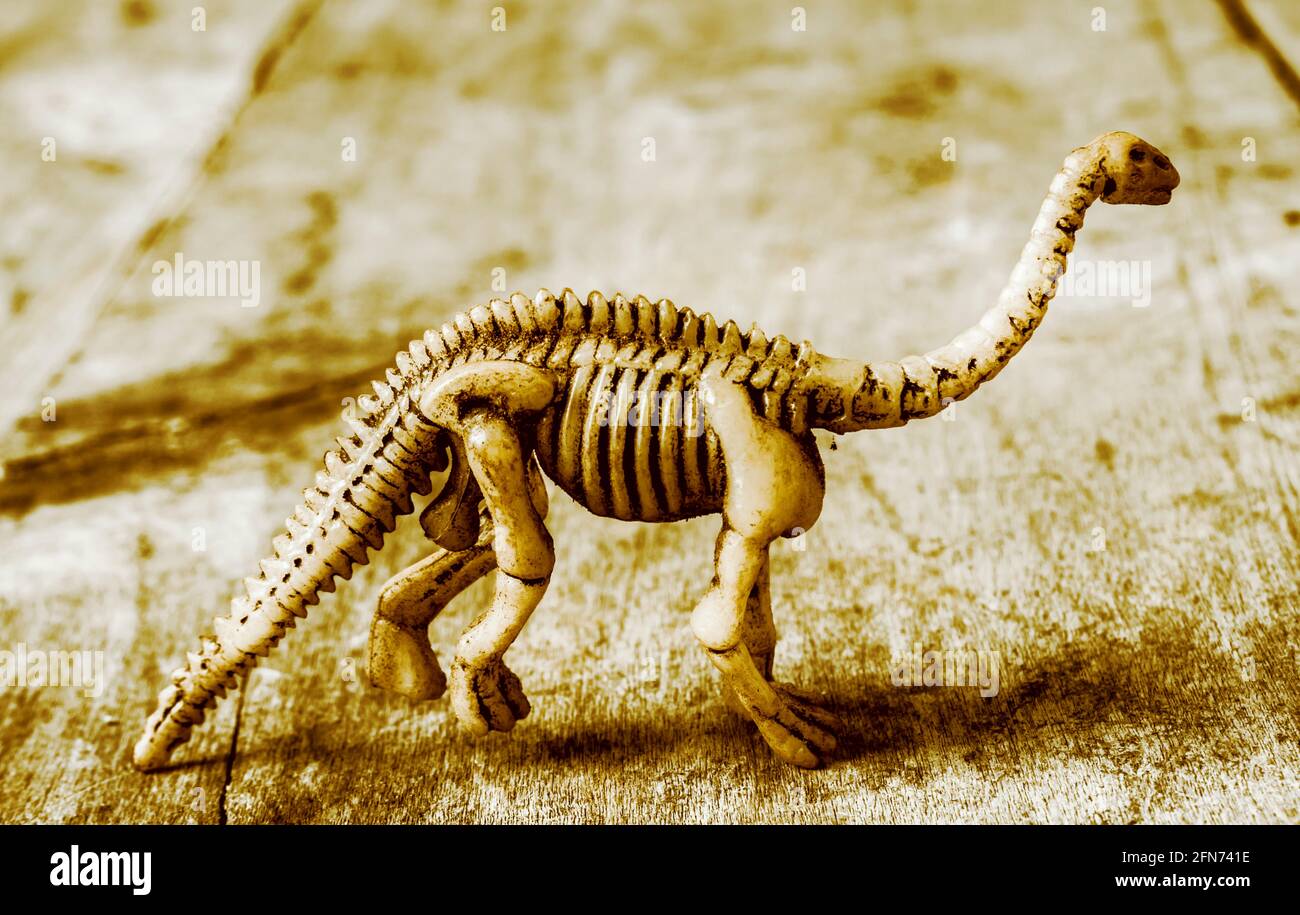Dinosaurs Diplodocus Stockfotos Und Bilder Kaufen Alamy