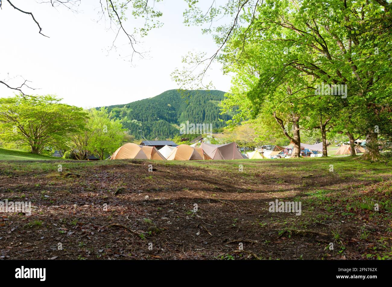 Camping-Zelte im Fuji-Hakone-Izu Nationalpark. Tanuki-Campingplatz am See in Fujinomiya, Präfektur Shizuoka, Japan. Stockfoto