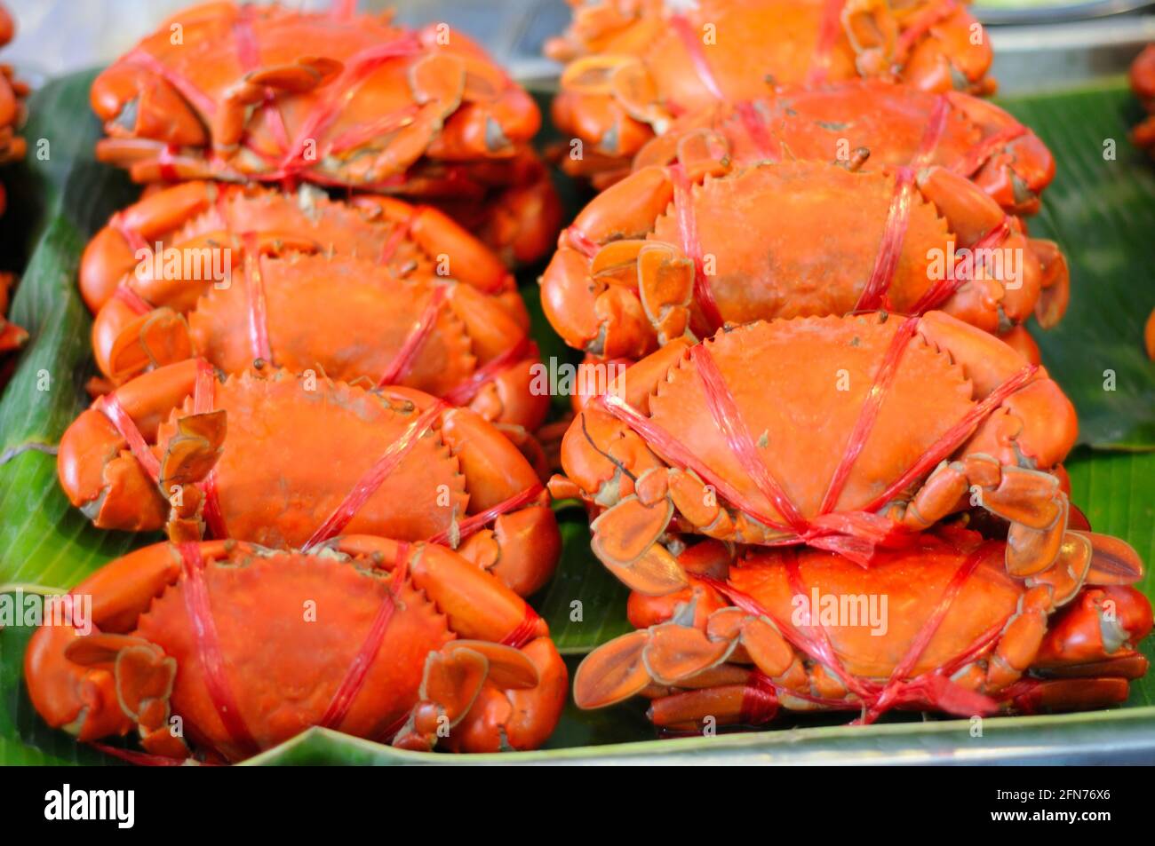 Große Dampfkrabben auf Bananenblättern Stockfoto