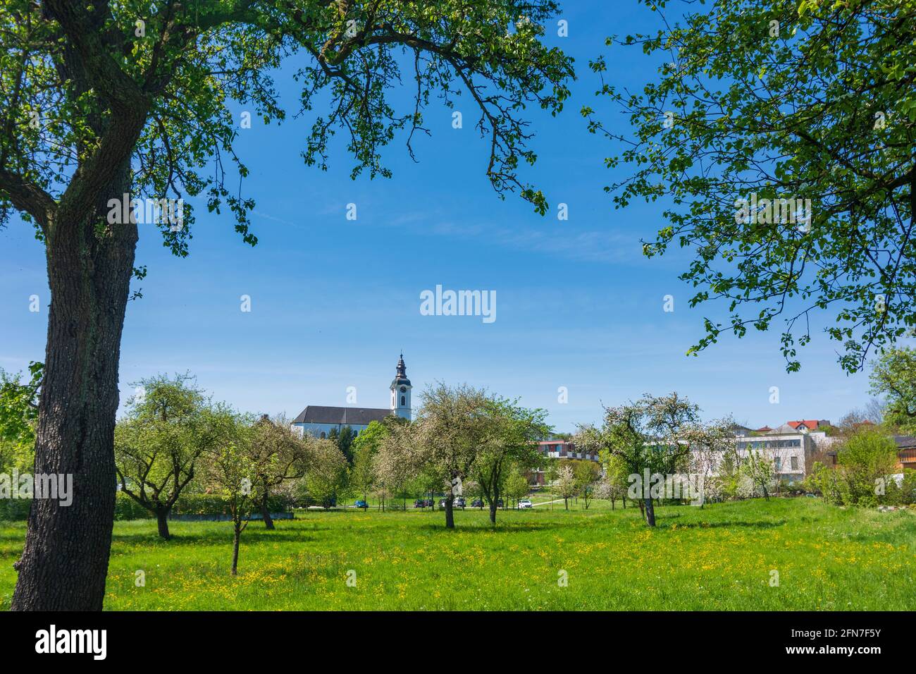 OED-Oehling: kirche Öhling, Obstgarten in Mostviertels, Niederösterreich, Niederösterreich, Österreich Stockfoto