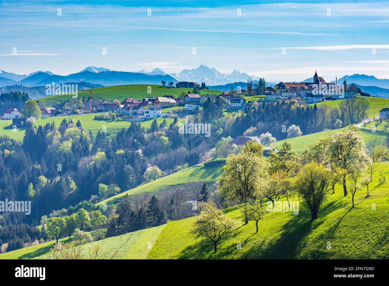 St. Peter in der Au: Dorf Kürnberg, Wiese, blühende Birnenbäume, Blick auf den Berg Gesäuse in Mostviertel, Niederösterreich, Niederösterreich, Österreich Stockfoto