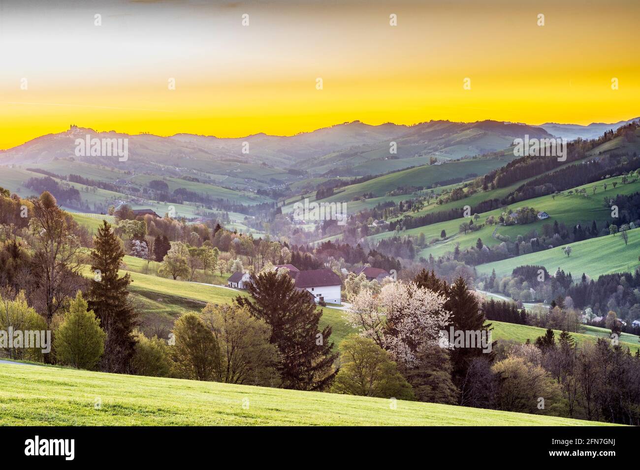 Waidhofen an der Ybbs: Bauernhäuser, blühende Birnenbäume, Wiesen, Blick auf die Sonntagberger Basilika, Nellingbachtal im Mostviertel, Niederösterreich, Lo Stockfoto