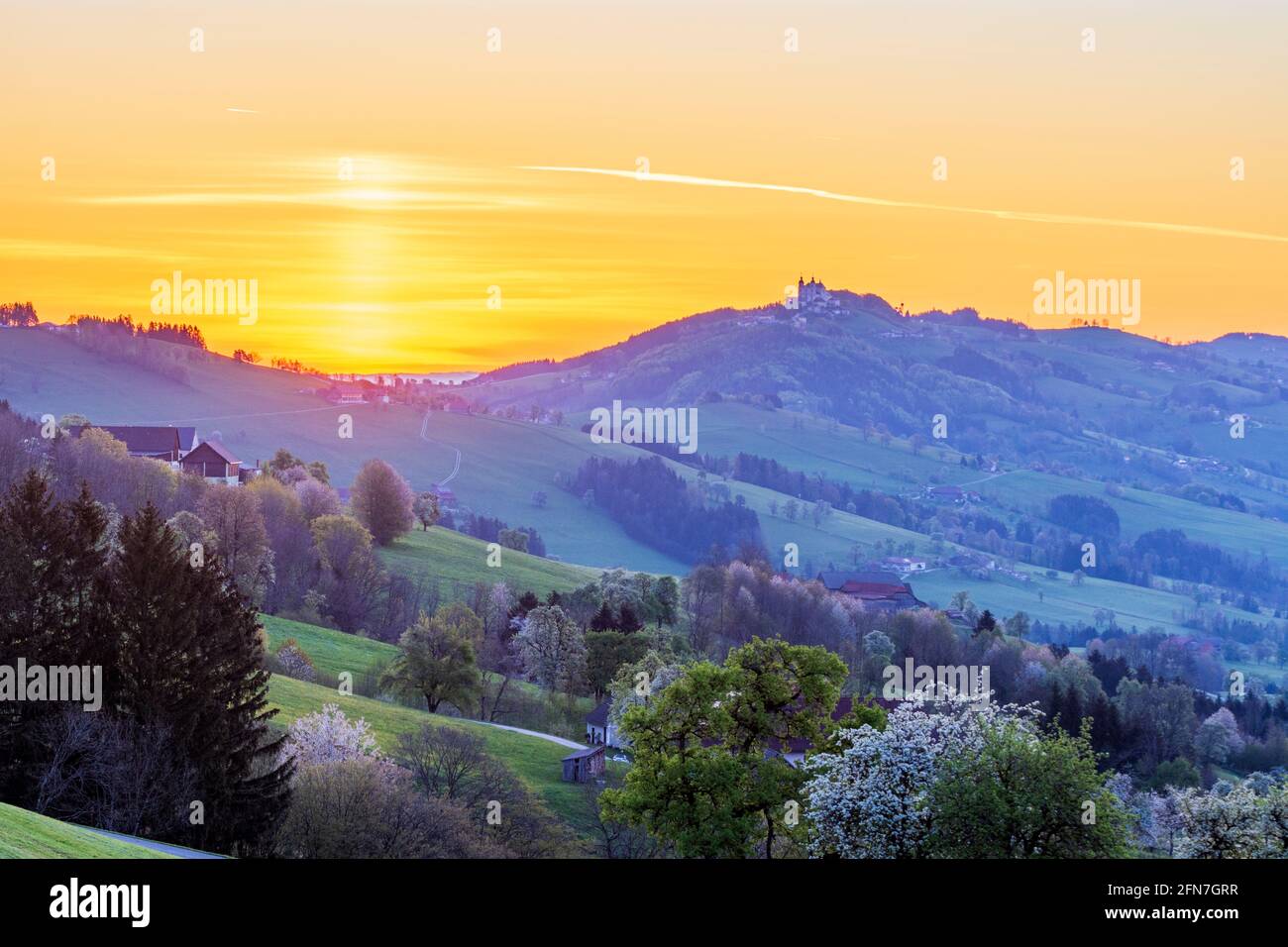 Waidhofen an der Ybbs: Bauernhäuser, blühende Birnenbäume, Wiesen, Blick auf die Sonntagberger Basilika, Nellingbachtal im Mostviertel, Niederösterreich, Lo Stockfoto