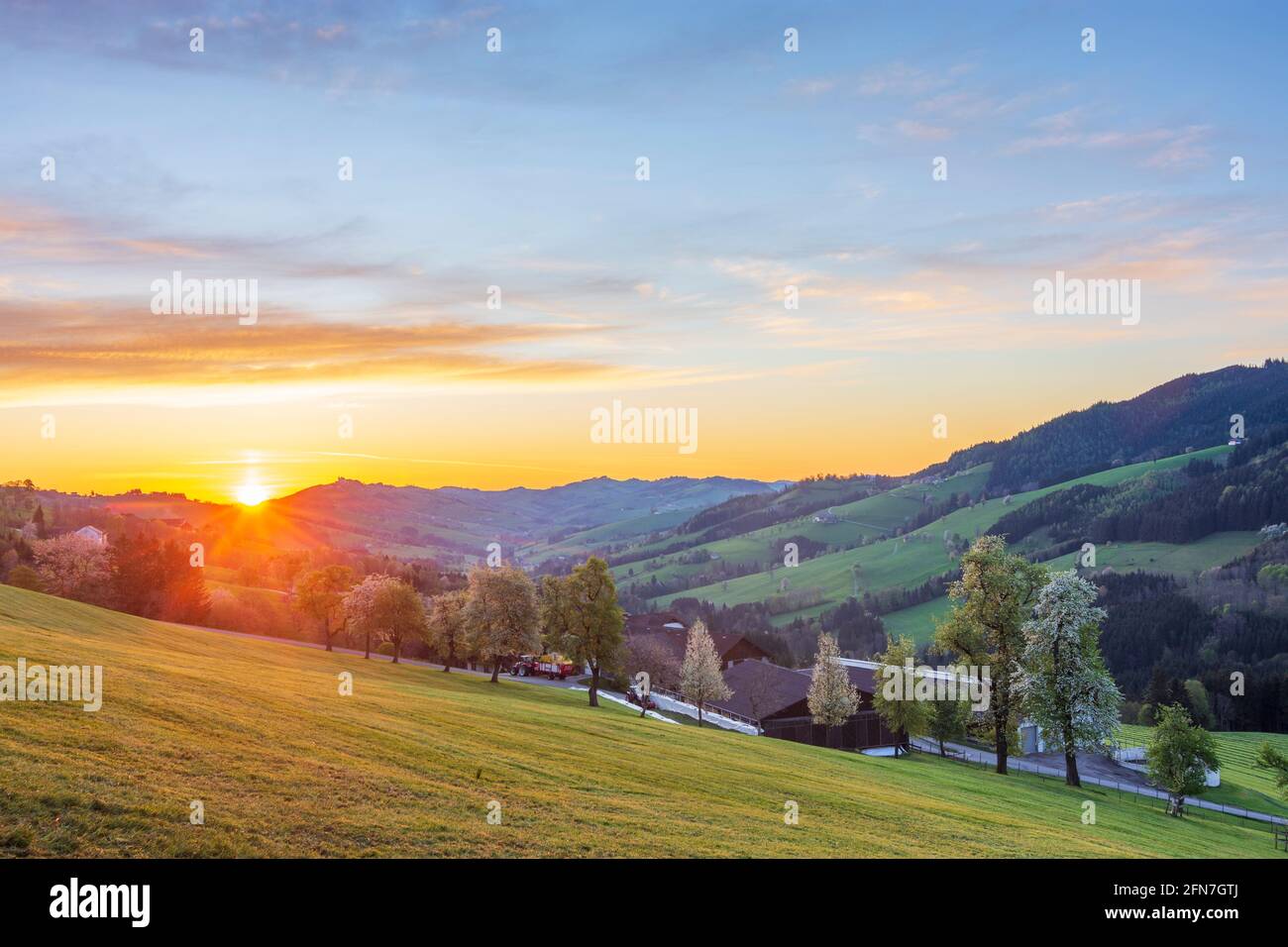 Waidhofen an der Ybbs: Bauernhäuser, blühende Birnenbäume, Wiesen, Blick auf die Sonntagberger Basilika, Nellingbachtal im Mostviertel, Niederösterreich, Lo Stockfoto