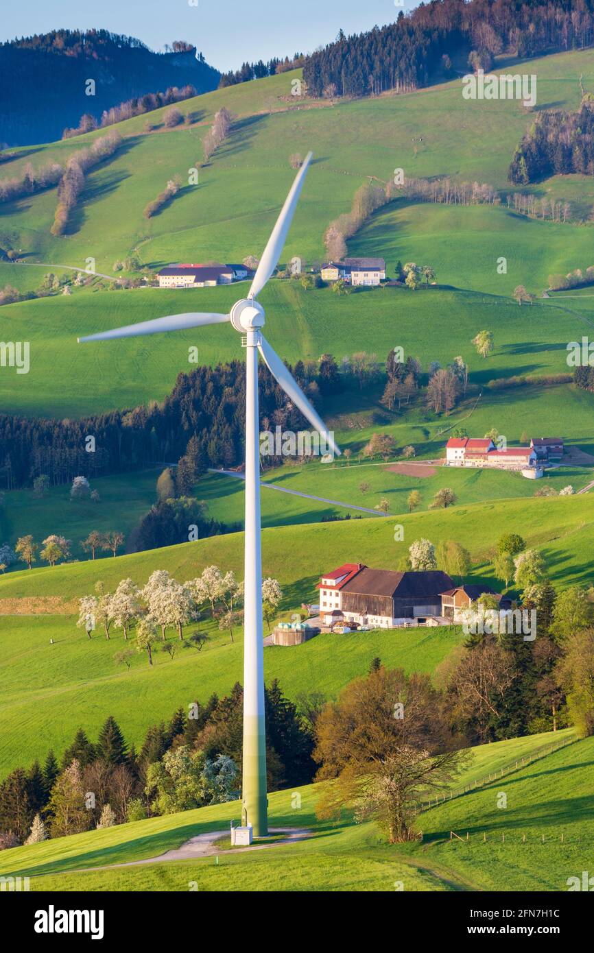 Waidhofen an der Ybbs: Bauernhäuser, blühende Birnenbäume, Wiesen, Windturbine in Mostviertel, Niederösterreich, Niederösterreich, Österreich Stockfoto