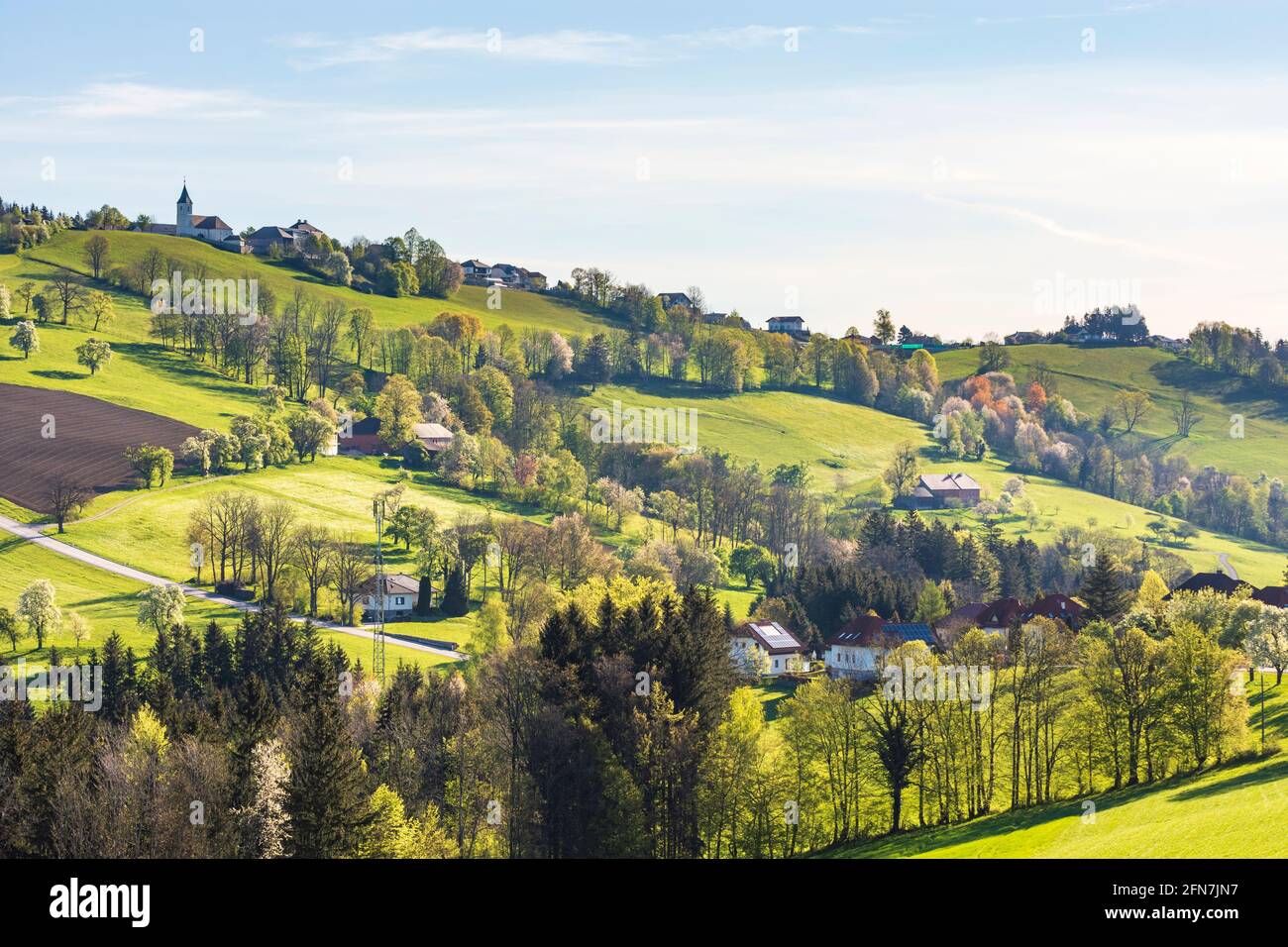 Waidhofen an der Ybbs: Bauernhäuser, blühende Birnenbäume, Wiesen, Kirche in St. Georgen in der Klaus in Mostviertel, Niederösterreich, Niederösterreich, A Stockfoto