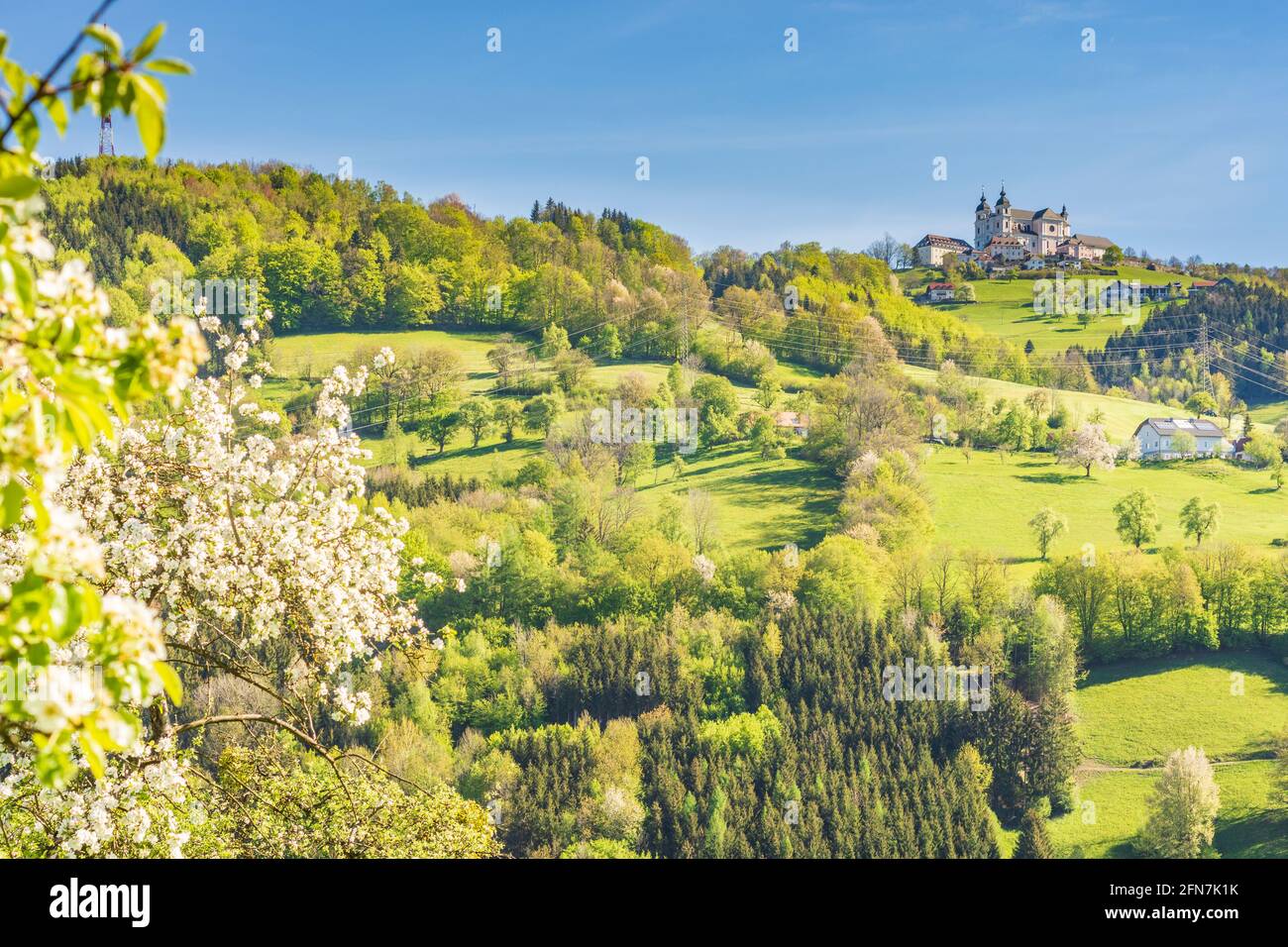 Sonntagberg: Sonntagberg Basilika, blühende Birnenbäume in Mostviertel, Niederösterreich, Niederösterreich, Österreich Stockfoto