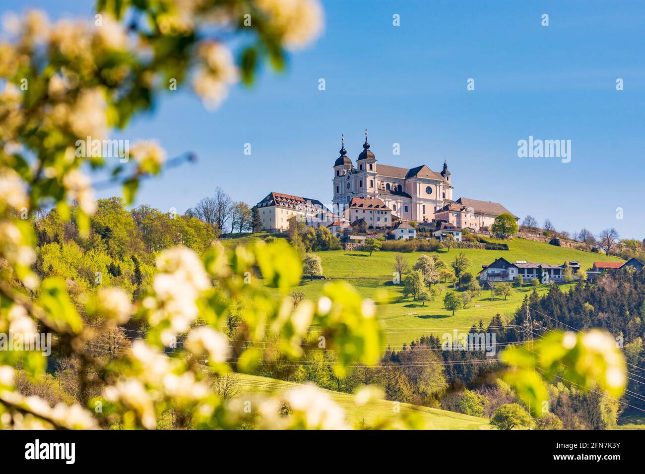 Sonntagberg: Sonntagberg Basilika, blühende Birnenbäume in Mostviertel, Niederösterreich, Niederösterreich, Österreich Stockfoto