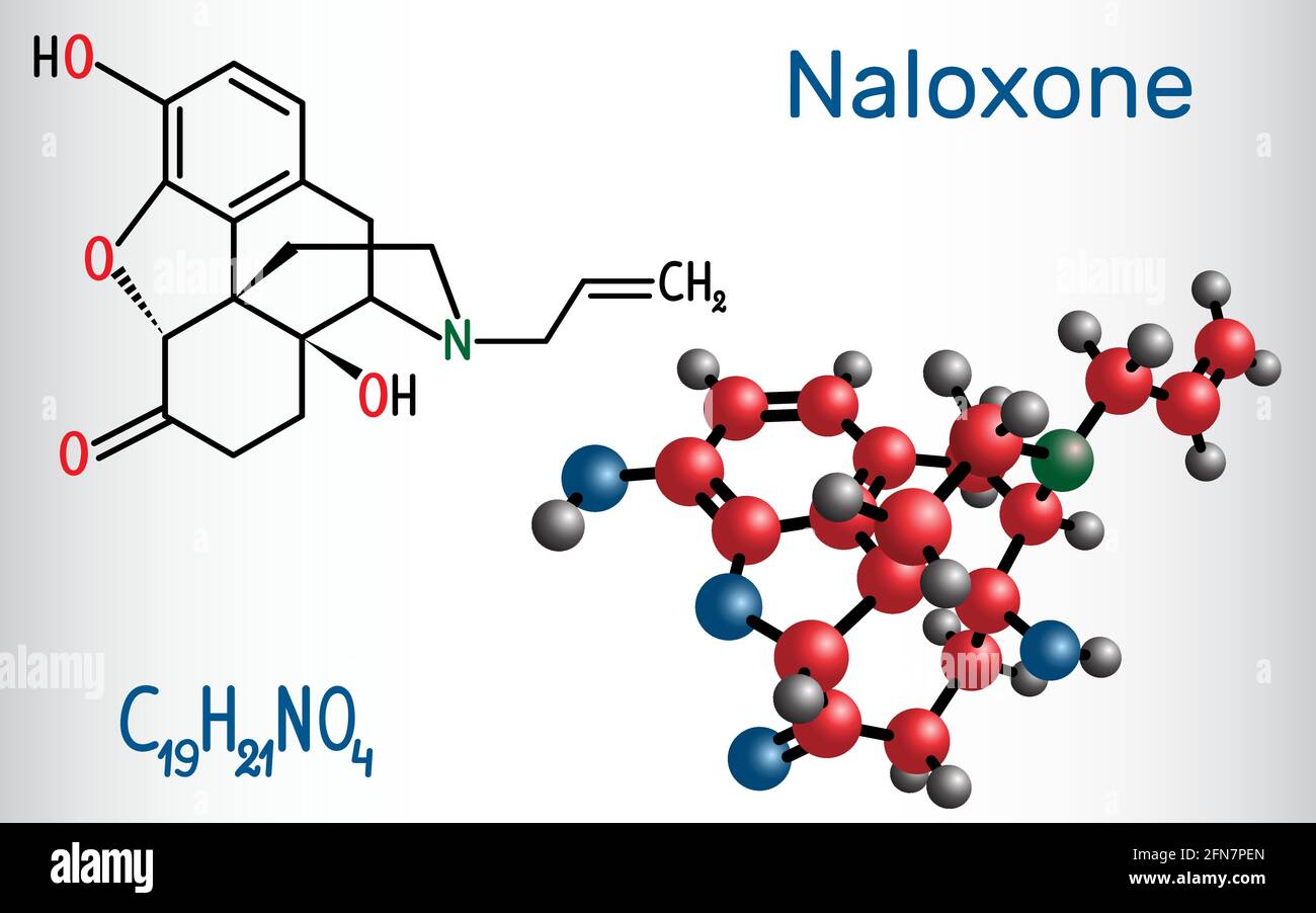 Naloxon-Molekül. Es wird verwendet, um die Auswirkungen von Opioiden zu blockieren, insbesondere bei Überdosierung. Strukturelle chemische Formel und Molekülmodell. Vektorgrafik Stock Vektor