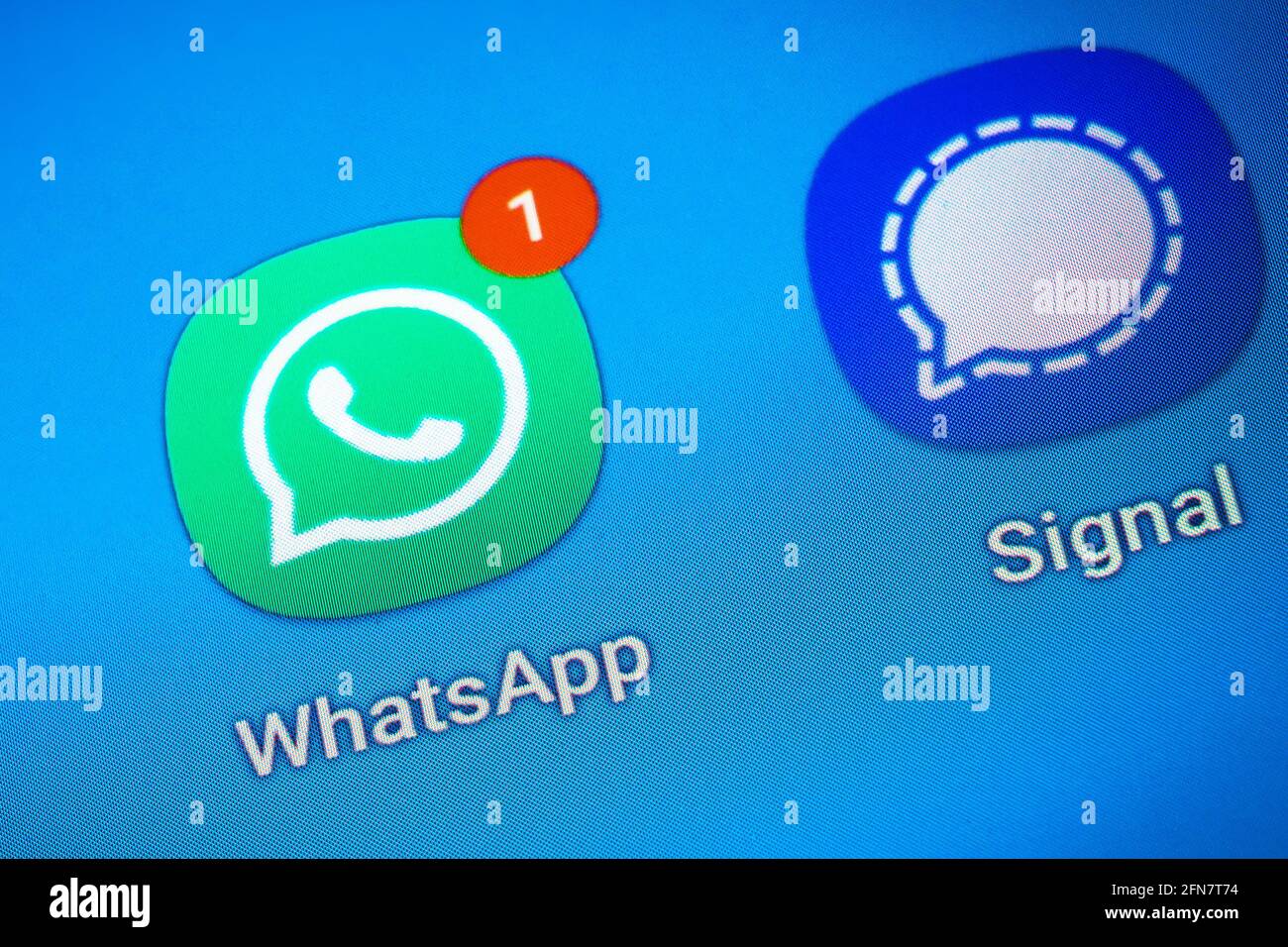 Logos der Social-Media-Messenger-Apps WhatsApp und Signal Auf dem Bildschirm eines Smartphones Stockfoto