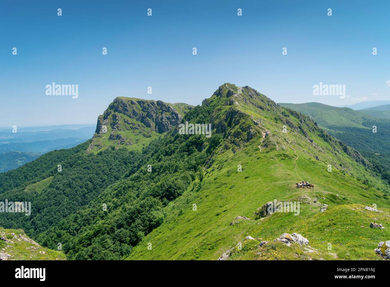 Schöne Aussicht von den Weg von Beklemeto zu Kozya Stena, Troyan Balkan, Bulgarien Stockfoto