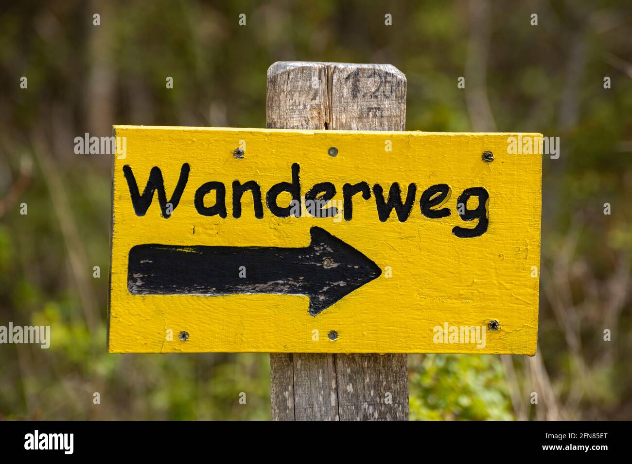 Wegweiser, Wanderweg, Naturschutzgebiet Gelting Birk, Gelting Bay, Schleswig-Holstein, Deutschland Stockfoto