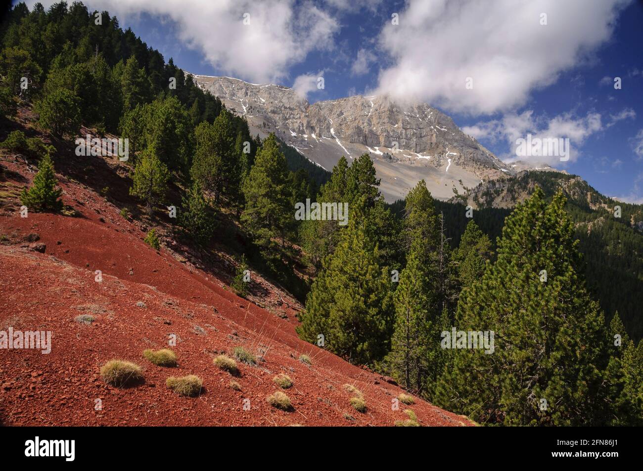 Serra de Cadí vom Weg von Estana zur Prat de Cadí Wiese (Cerdanya, Katalonien, Spanien, Pyrenäen) Stockfoto