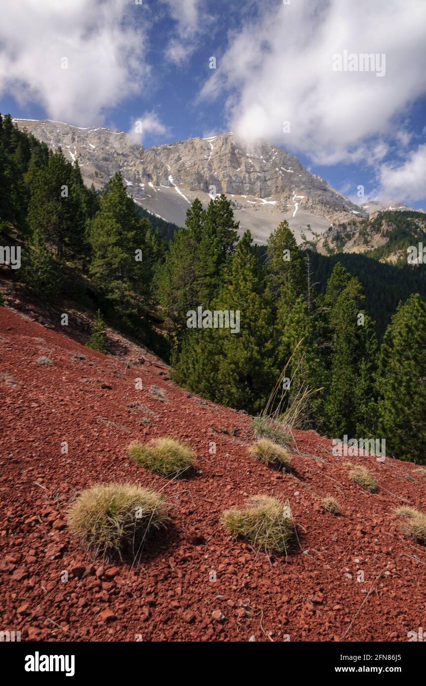 Serra de Cadí vom Weg von Estana zur Prat de Cadí Wiese (Cerdanya, Katalonien, Spanien, Pyrenäen) Stockfoto