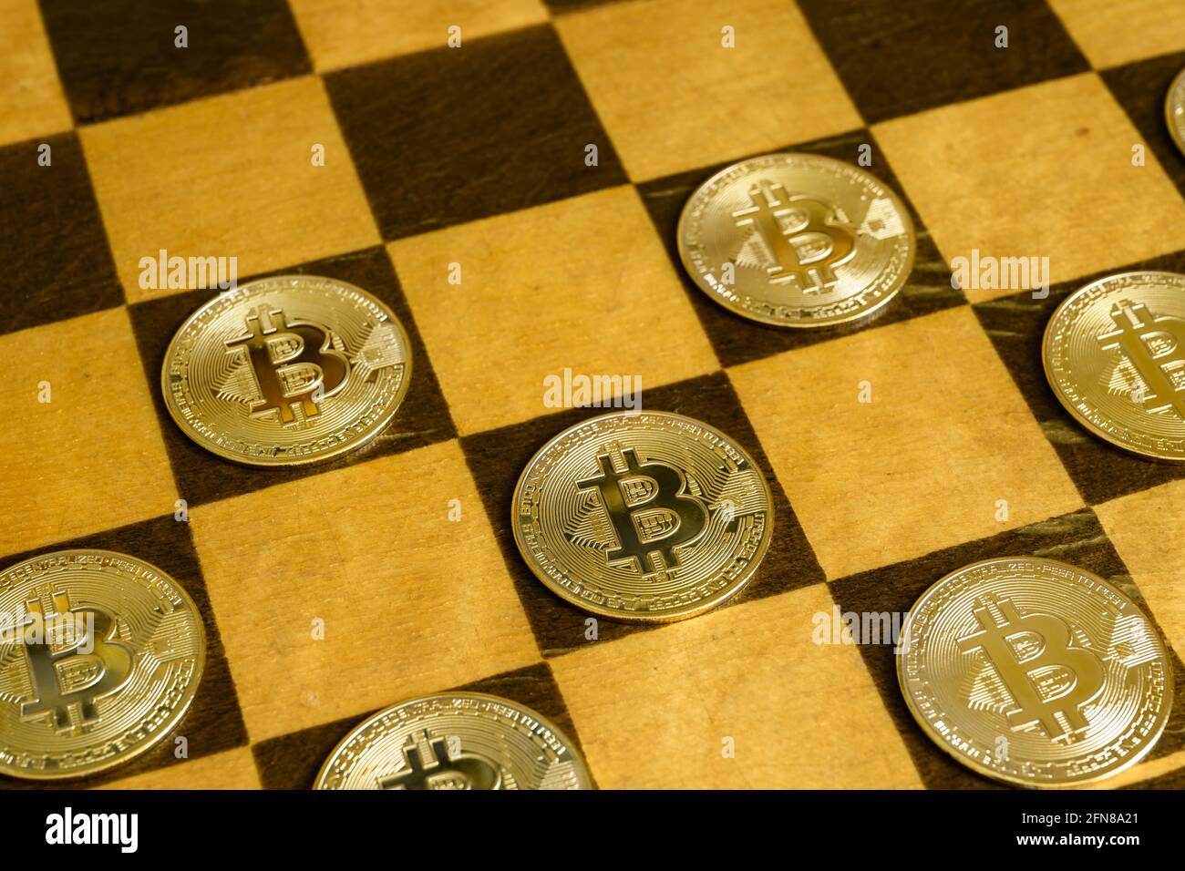 Dame oder Entwürfe Spiel mit Bitcoin, Ansicht von Gold Bit Münzen auf Holzbrett. Konzept der Finanzstrategie, virtuelles digitales Geld, Kryptowährung i Stockfoto