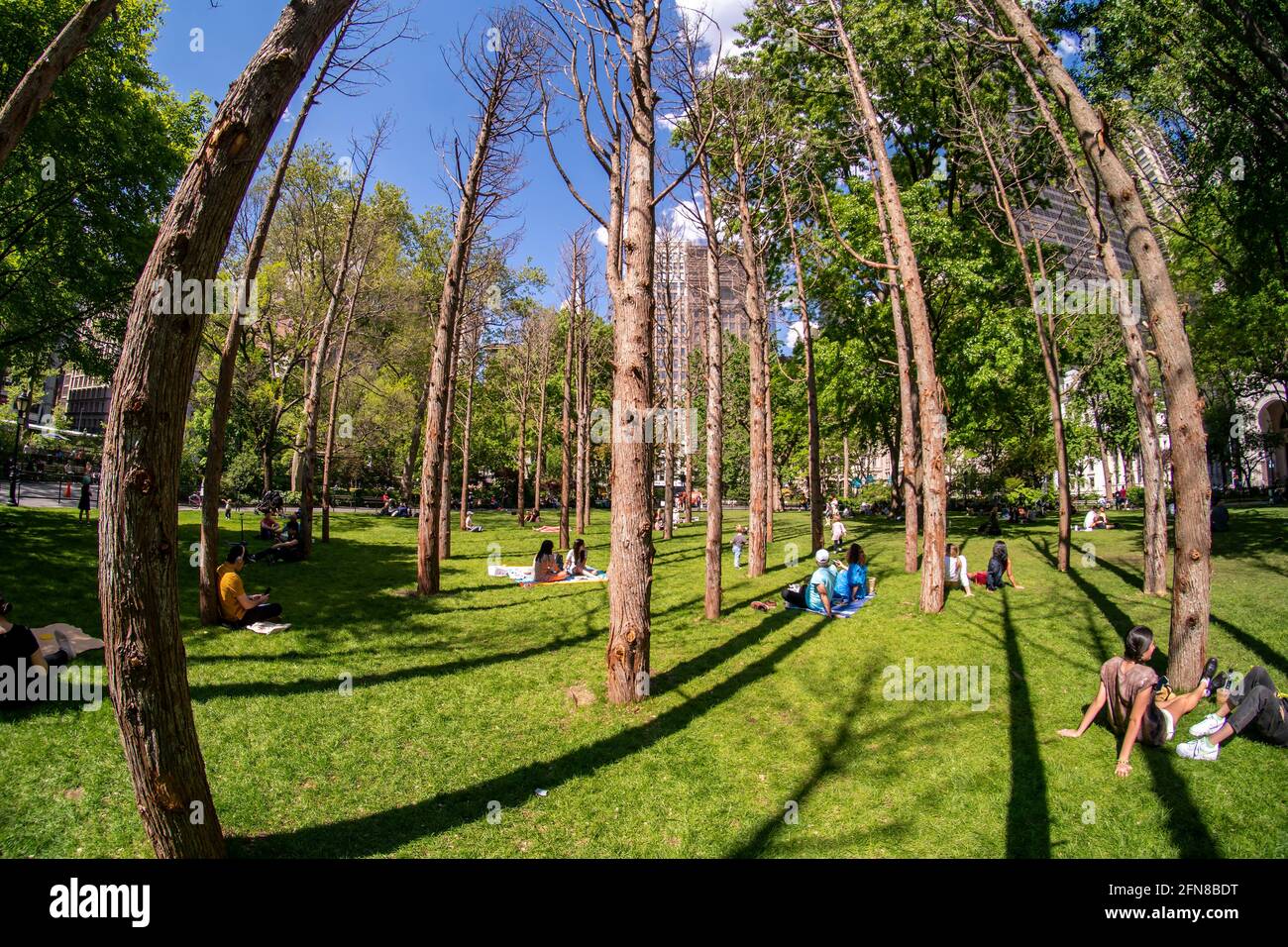 New York, USA. Mai 2021. Besucher des Madison Square Parks in New York entspannen sich maskenlos inmitten der toten Bäume von Maya Lins Installation „Ghost Forest“ an einem warmen Freitag, dem 14. Mai 2021. Das CDC hat neue Richtlinien veröffentlicht, die es vollständig geimpften ermöglichen, an großen oder kleinen Aktivitäten im Innen- und Außenbereich teilzunehmen, ohne eine Maske oder soziale Distanzierung zu tragen. (ÂPhoto von Richard B. Levine) Quelle: SIPA USA/Alamy Live News Stockfoto