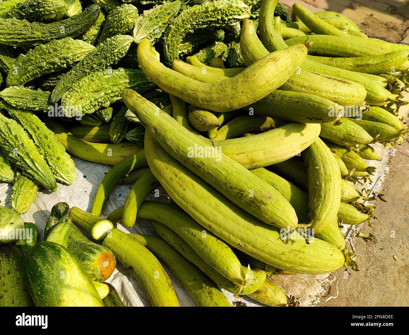 Viel frischer süßer Kürbis und bittere Melone auf dem Markt Stockfoto