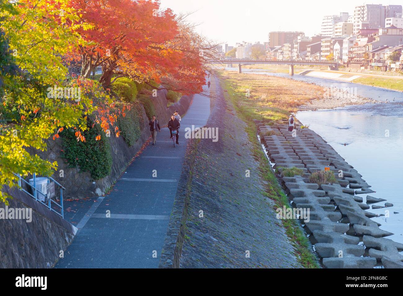 Wunderschöne Kamo-Flussseite in der Nähe des Reiseortes in Kyoto, Japan. Stockfoto