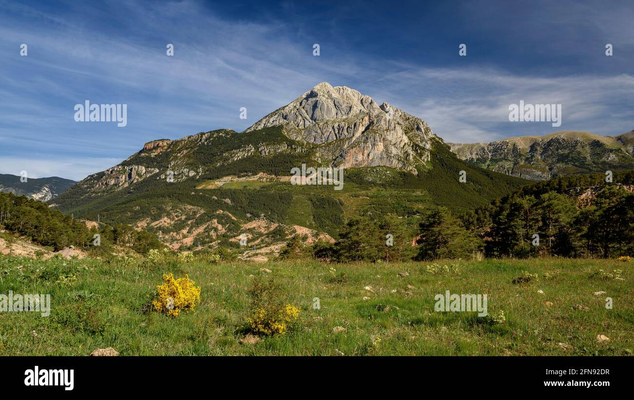 Pedraforca Südwand von der Nähe des Coll de la Trapa (Berguedà, Katalonien, Spanien, Pyrenäen) ESP: Vistas de la cara sur del Pedraforca Stockfoto