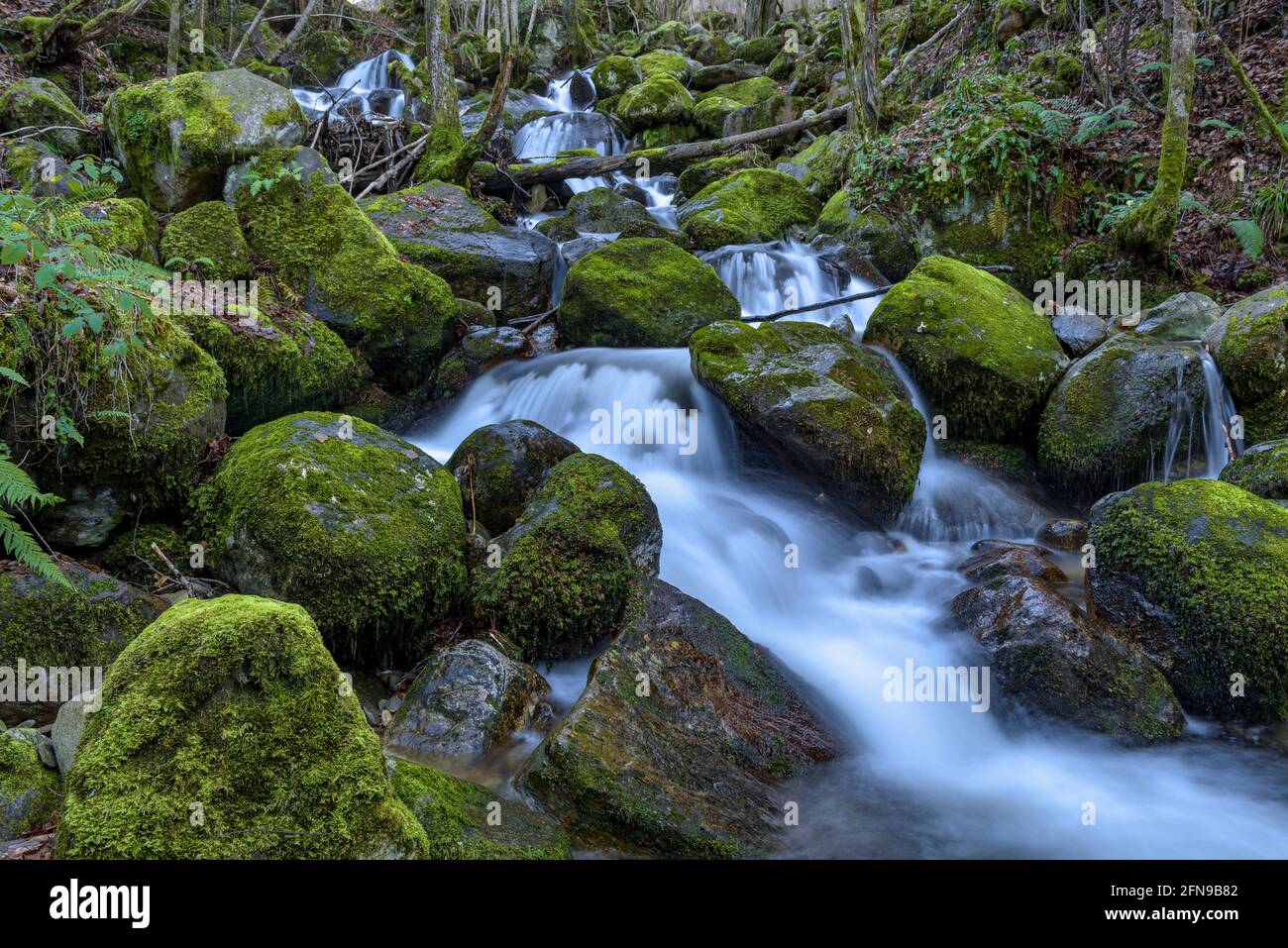 Wasserfall im Toran-Fluss, im Torán-Tal (Aran-Tal, Katalonien, Spanien, Pyrenäen) ESP: Salto de agua en el Río Toran, en el Valle de Torán Stockfoto