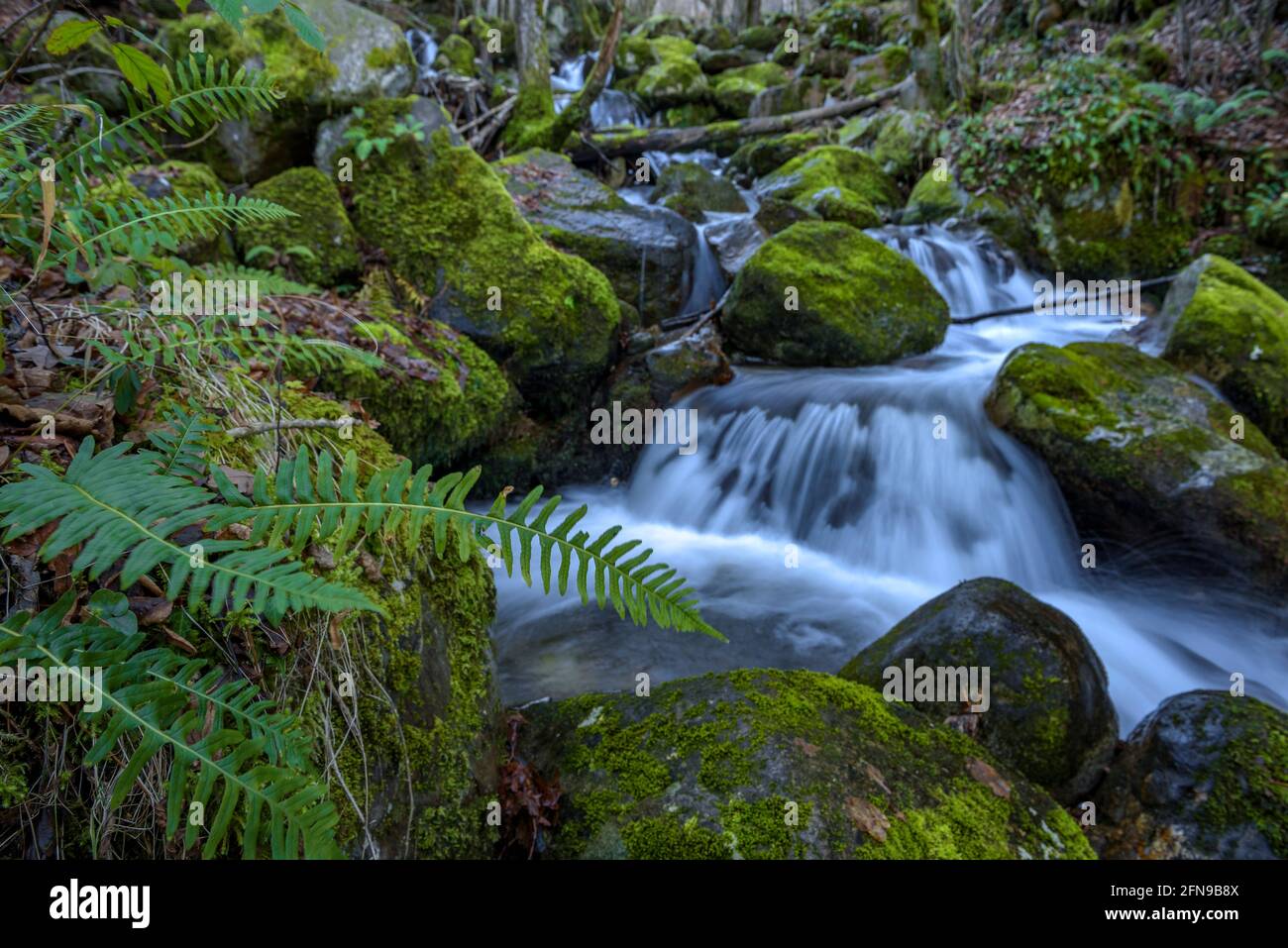 Wasserfall im Toran-Fluss, im Torán-Tal (Aran-Tal, Katalonien, Spanien, Pyrenäen) ESP: Salto de agua en el Río Toran, en el Valle de Torán Stockfoto