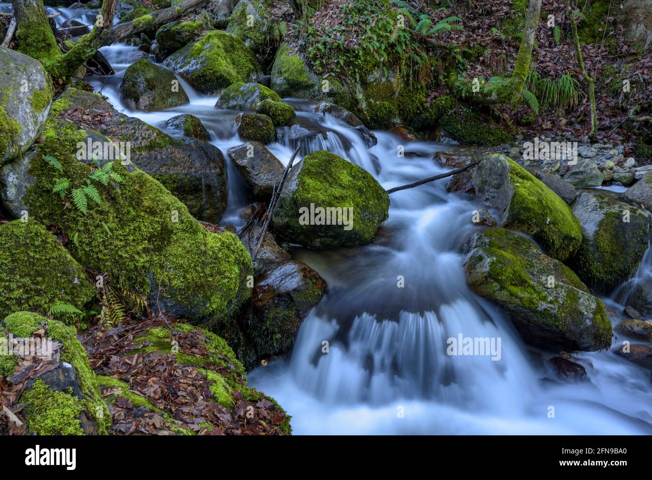 Wasserfall im Toran-Fluss, im Torán-Tal (Aran-Tal, Katalonien, Spanien, Pyrenäen) ESP: Salto de agua en el Río Toran, en el Valle de Torán Stockfoto