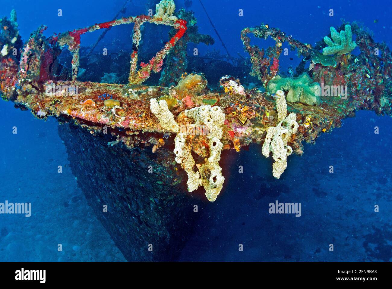 Mbike Wrack, marine Wachstum bedeckt Bug, Salomonen Stockfoto
