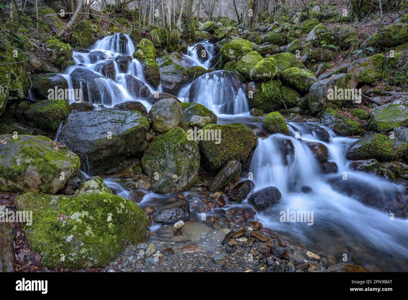 Wasserfall im Toran-Fluss, im Torán-Tal (Aran-Tal, Katalonien, Spanien, Pyrenäen) ESP: Salto de agua en el Río Toran, en el Valle de Torán Stockfoto