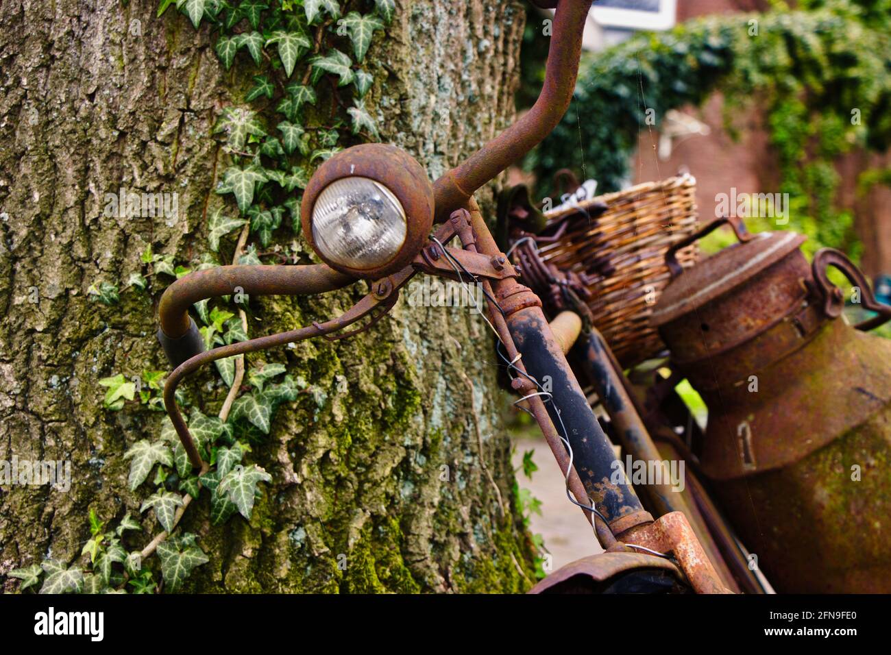 Altes, rostiges Fahrrad / Altes, rostiges Fahrrad mit Milchkanne Stockfoto
