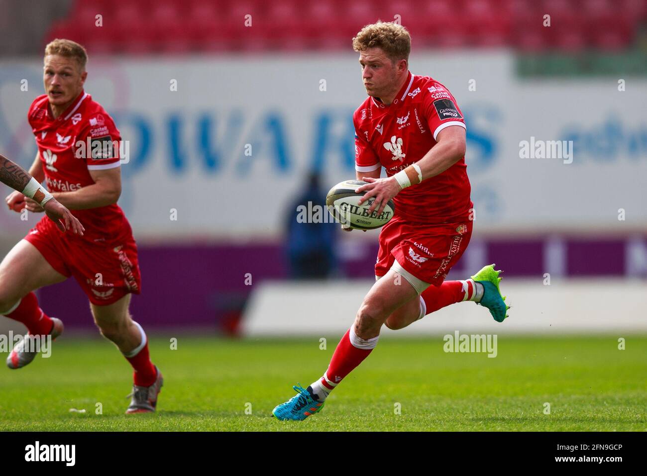 Llanelli, Großbritannien. 15. Mai 2021. Die Scarlets fliegen während des Scarlets gegen Cardiff Blues PRO14 Rainbow Cup Rugby Match mit halber Angus O’Brien. Kredit: Gruffydd Thomas/Alamy Live Nachrichten Stockfoto