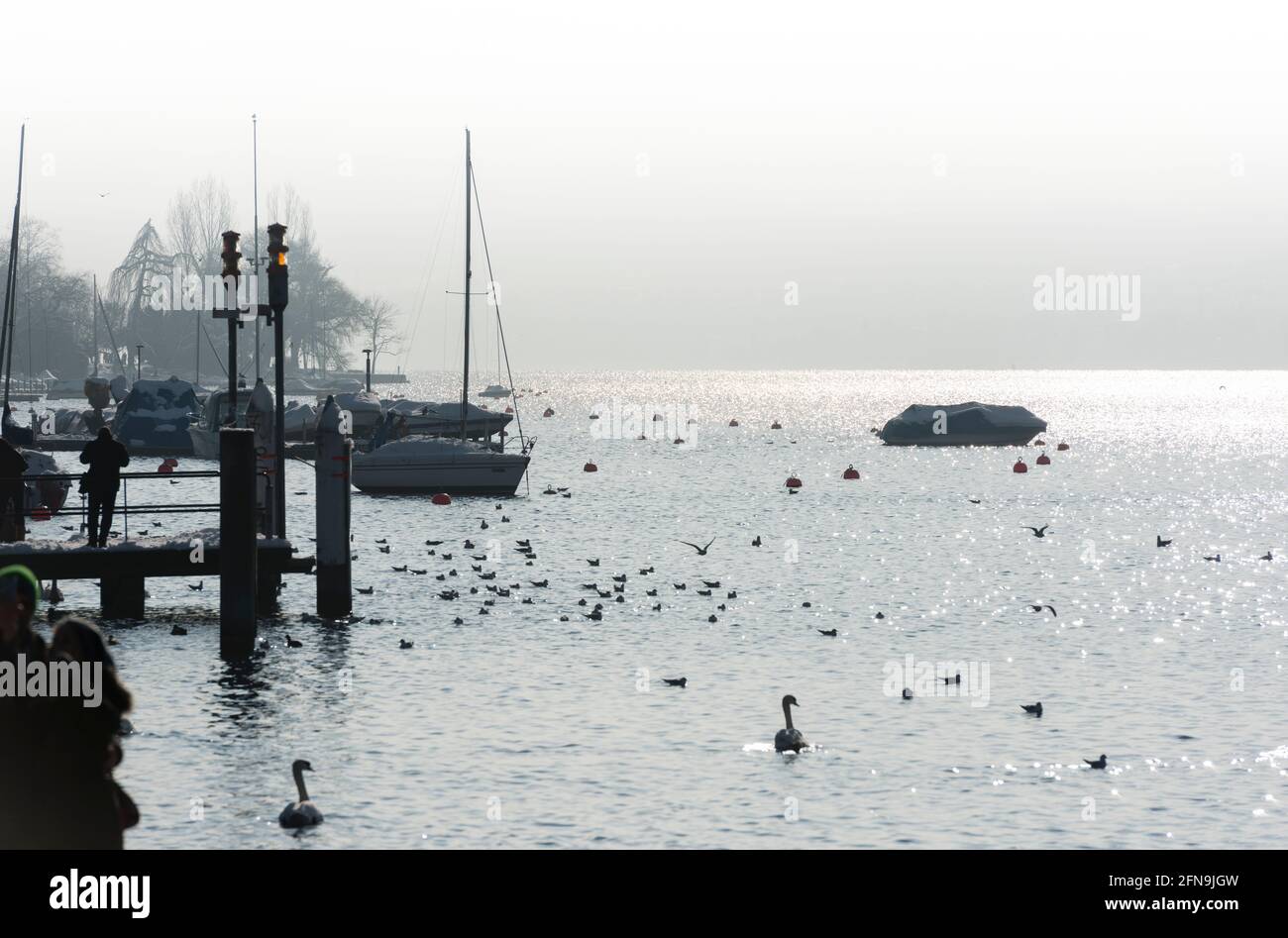 Der Zürichsee und der Züricher See Bellevue an einem sonnigen Wintertag. Stockfoto