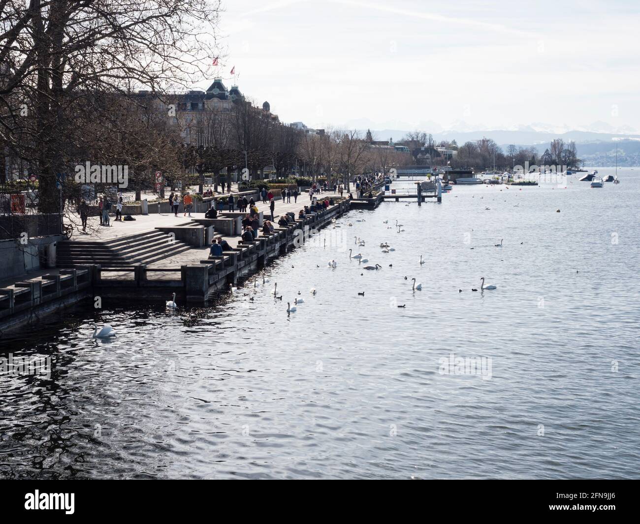 Der Zürichsee und der Züricher See Bellevue an einem sonnigen Wintertag. Stockfoto