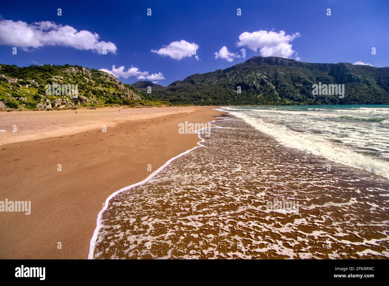 Die Schildkrötenwelle! Dalyan, Türkei Stockfoto