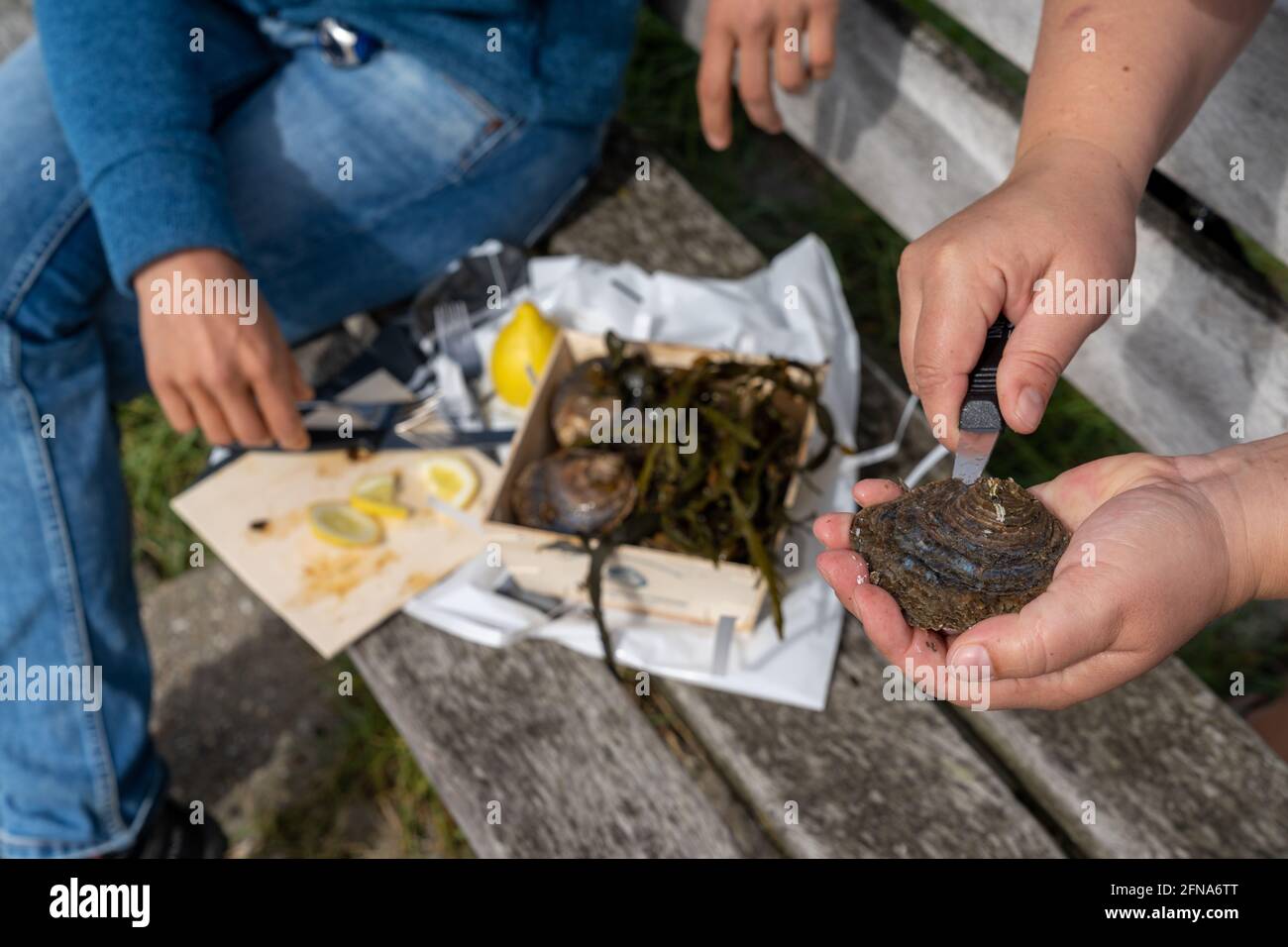Nahaufnahme von zwei kaukasischen Frauen, die roh zucken Austern und genießen sie mit Zitrone Stockfoto