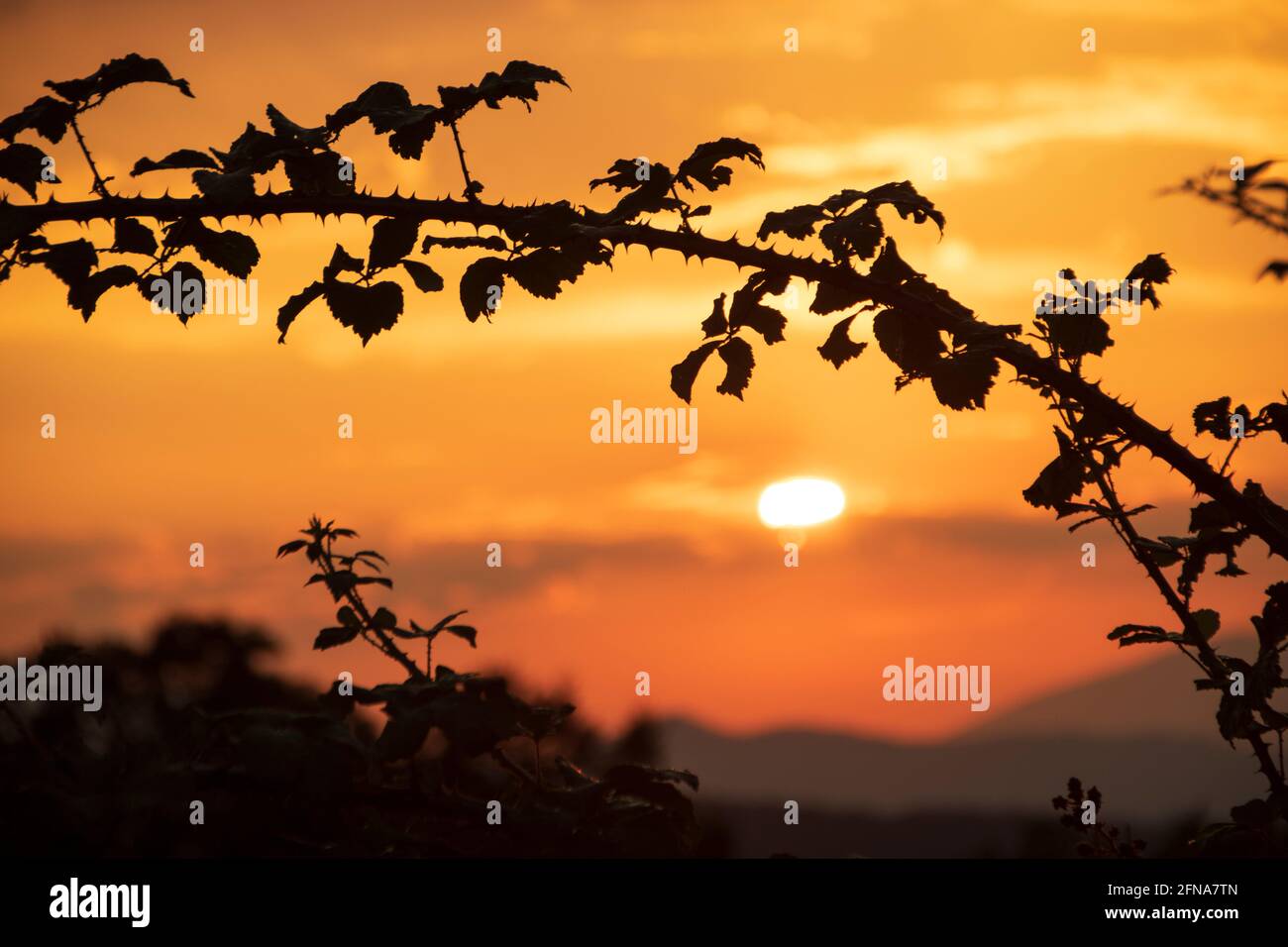 Sonnenuntergang im Nationalpark Pollino, Region Basilicata, Italien Stockfoto