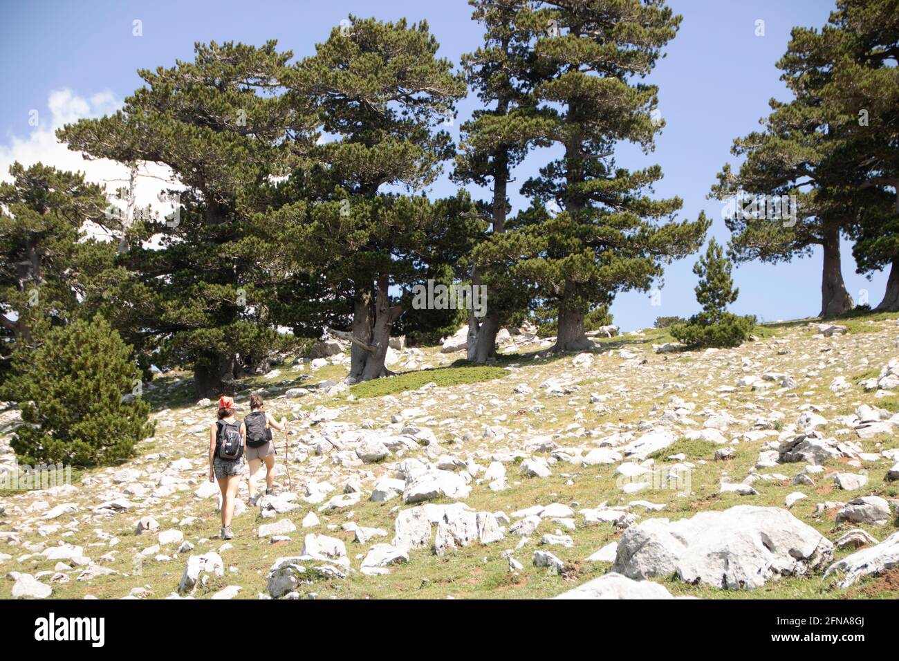 In San Severino Lucano - Italien - am 2020. august - Landschaft von Pollino Nationalpark, ein weites Naturschutzgebiet in Basilicata und Kalabrien, italienische Re Stockfoto