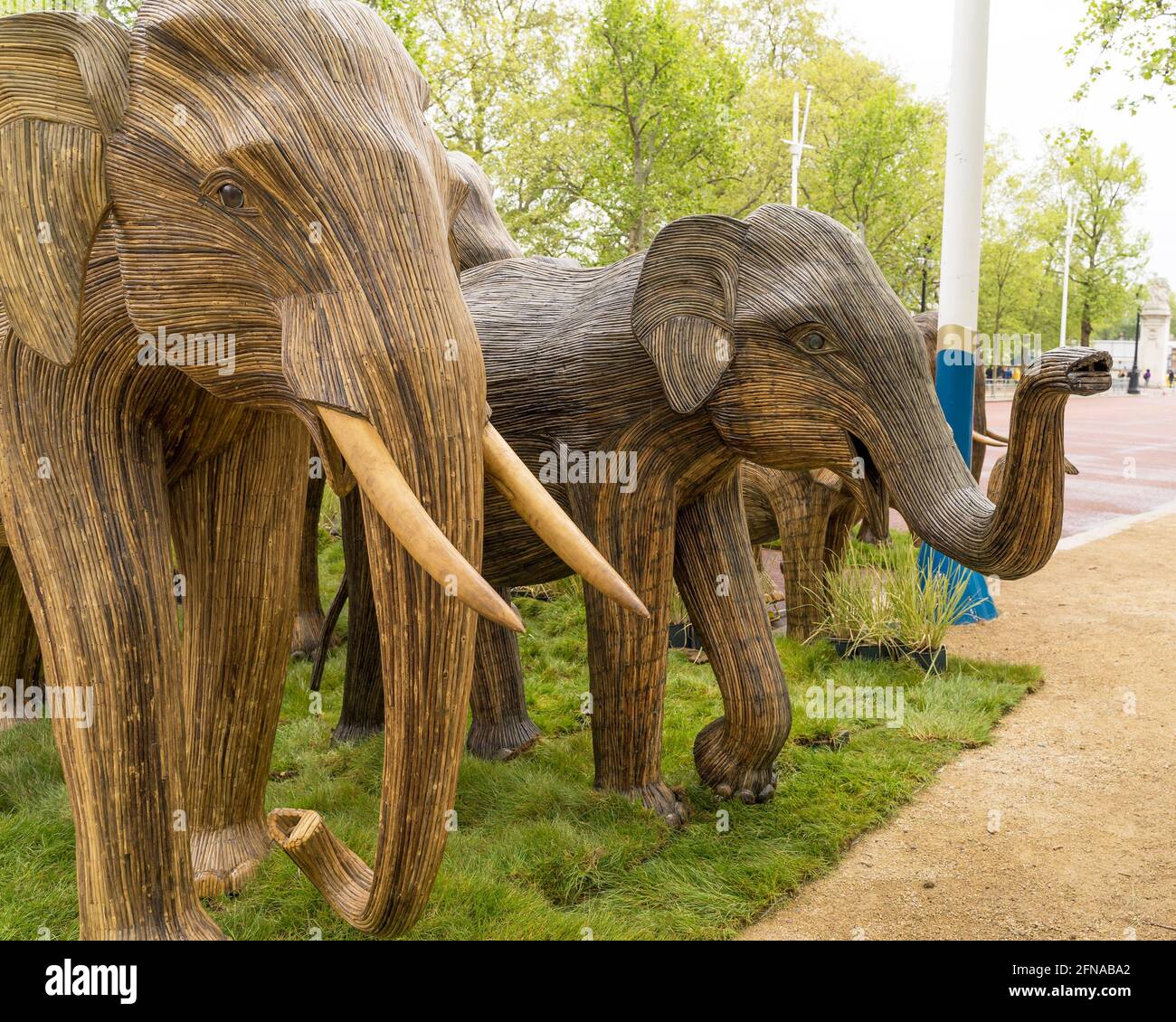 Lebensgroe Herde asiatischer Elefanten, die im Rahmen der  Koexistenz-Kampagne aus Bambus in der Mall hergestellt wurden. London  Stockfotografie - Alamy