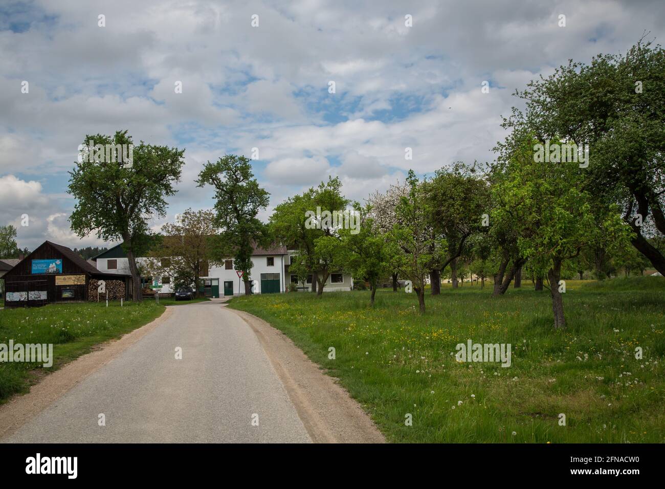 Wandern rund um die Loising Gemeinde Wolfpassing, Mostviertel, Österreich Stockfoto
