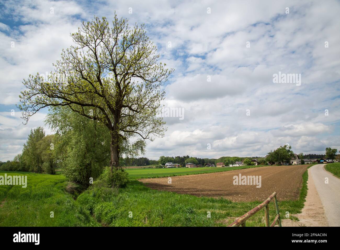 Wandern rund um die Loising Gemeinde Wolfpassing, Mostviertel, Österreich Stockfoto