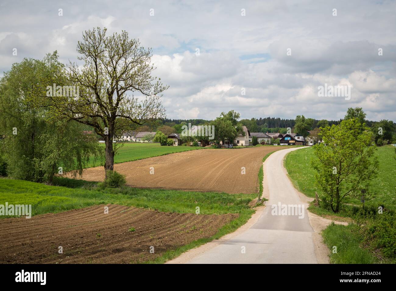 Wandern rund um die Loising Gemeinde Wolfpassing, Mostviertel, Österreich Stockfoto